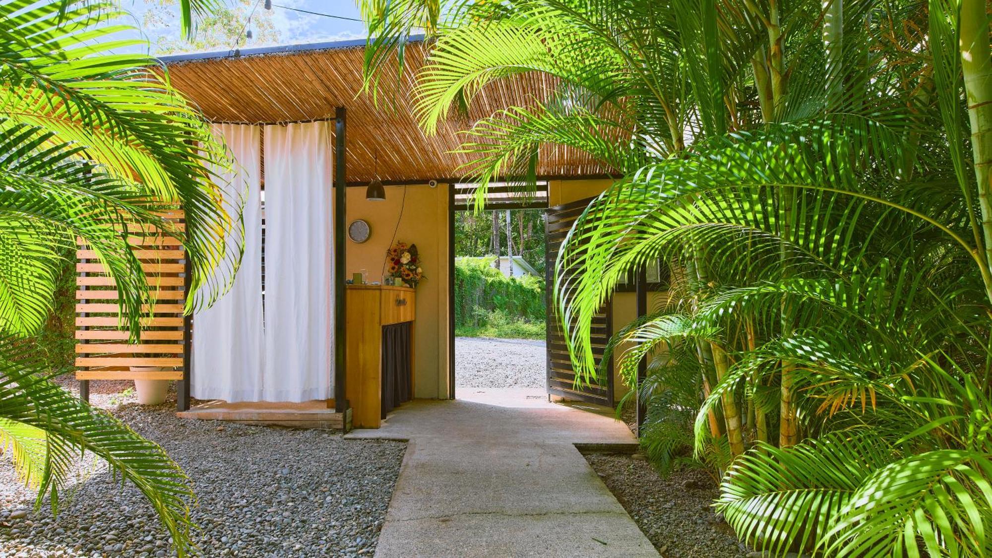 La Tica Y La Gata Hotel Puerto Viejo de Talamanca Buitenkant foto